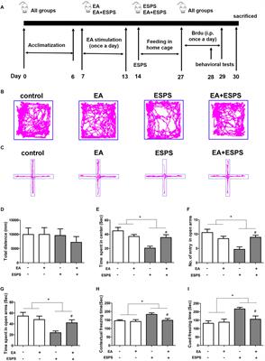 Electroacupuncture Pretreatment Ameliorates PTSD-Like Behaviors in Rats by Enhancing Hippocampal Neurogenesis via the Keap1/Nrf2 Antioxidant Signaling Pathway